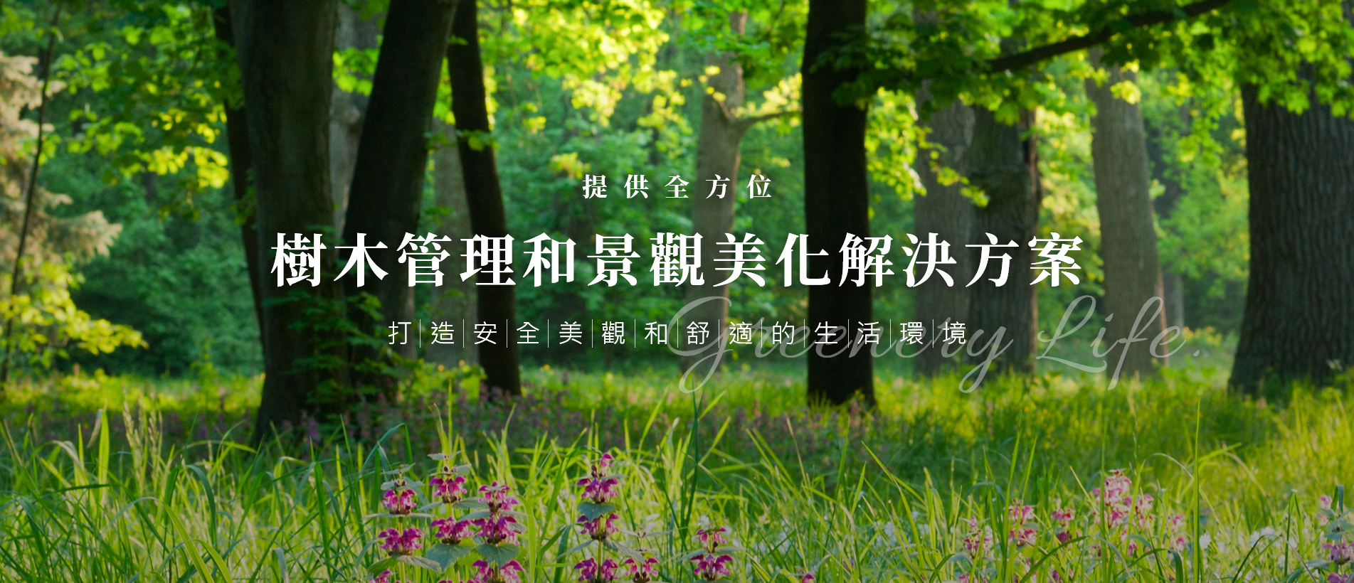 banner-最終.jpg banner-最終.jpg