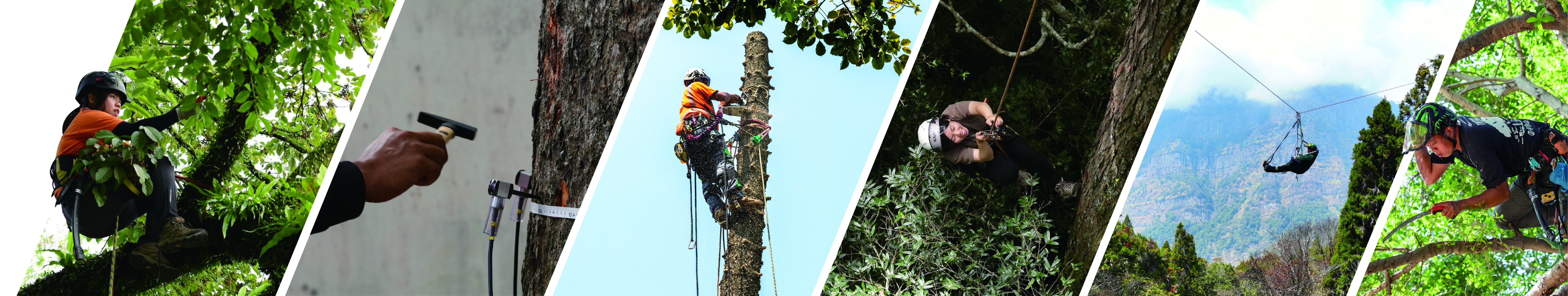 封面圖_工作區域 1.jpg